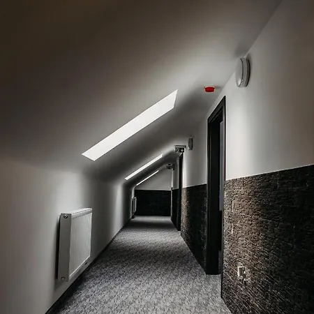 Cedrus Club Balassagyarmat